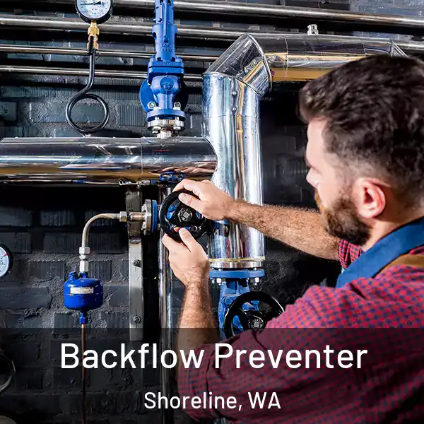  Backflow Preventer Shoreline, WA
