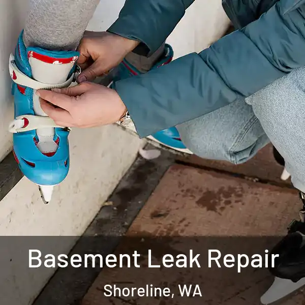  Basement Leak Repair Shoreline, WA