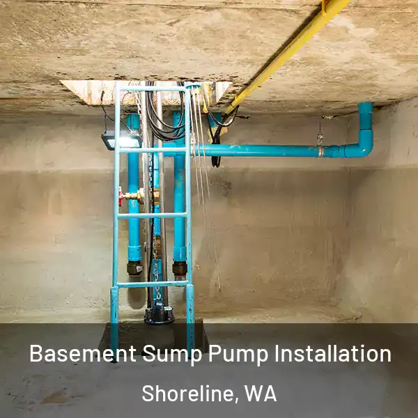 Basement Sump Pump Installation Shoreline, WA