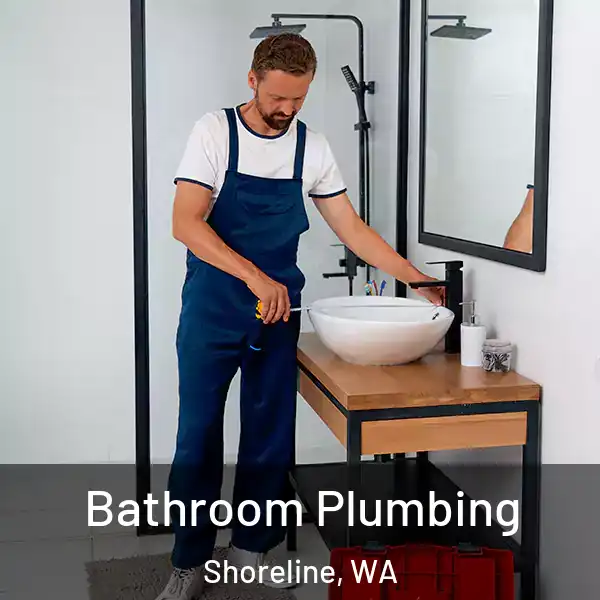  Bathroom Plumbing Shoreline, WA