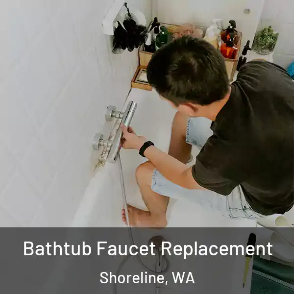  Bathtub Faucet Replacement Shoreline, WA