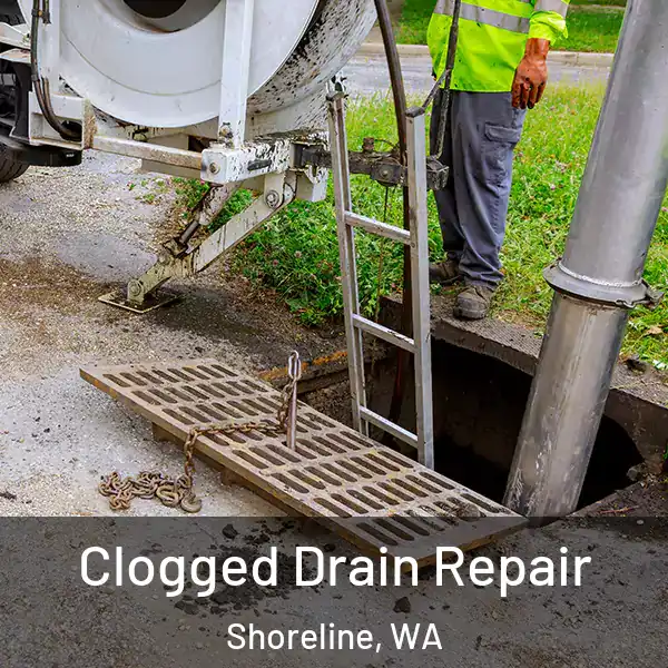  Clogged Drain Repair Shoreline, WA
