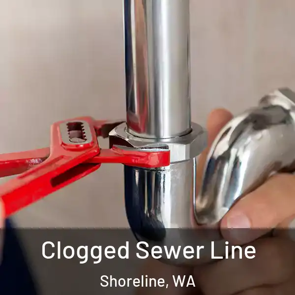  Clogged Sewer Line Shoreline, WA