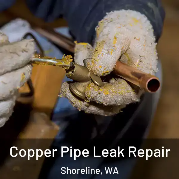  Copper Pipe Leak Repair Shoreline, WA