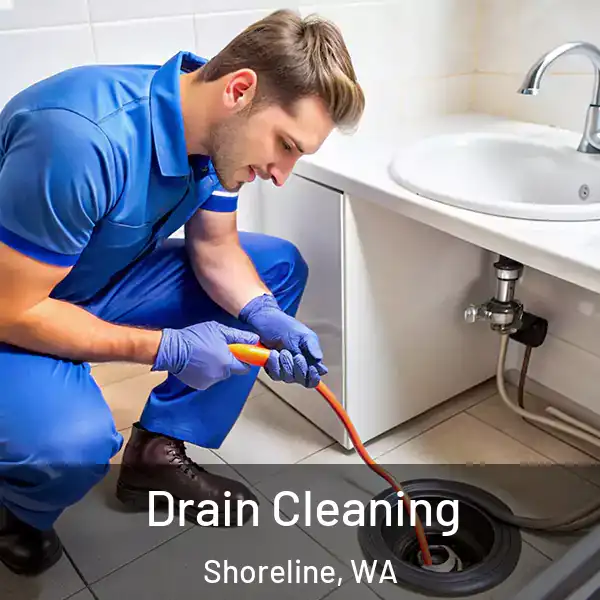  Drain Cleaning Shoreline, WA