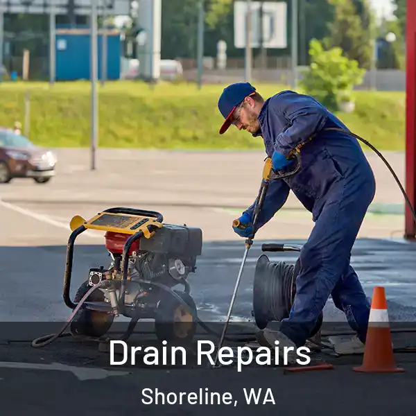  Drain Repairs Shoreline, WA