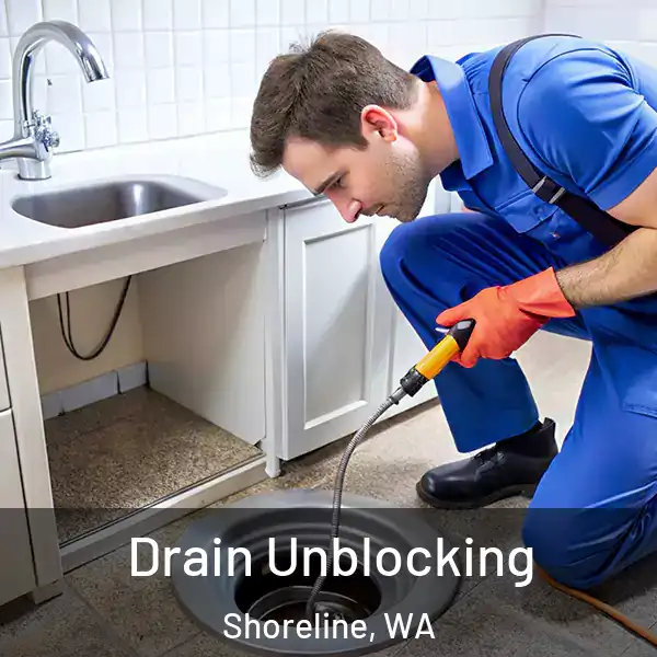  Drain Unblocking Shoreline, WA
