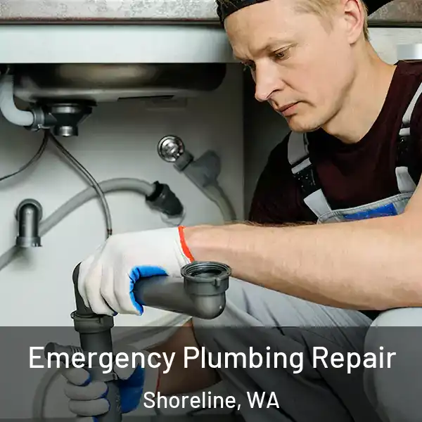  Emergency Plumbing Repair Shoreline, WA