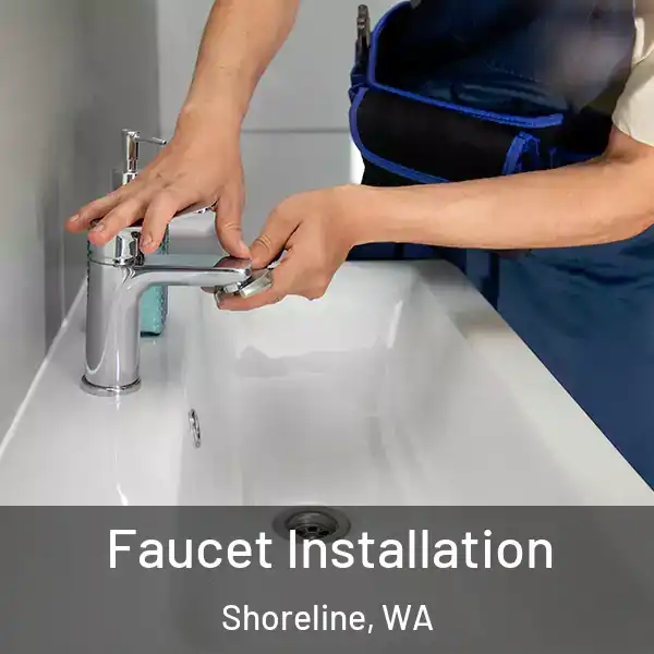  Faucet Installation Shoreline, WA