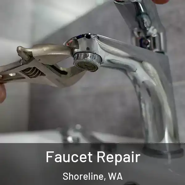  Faucet Repair Shoreline, WA