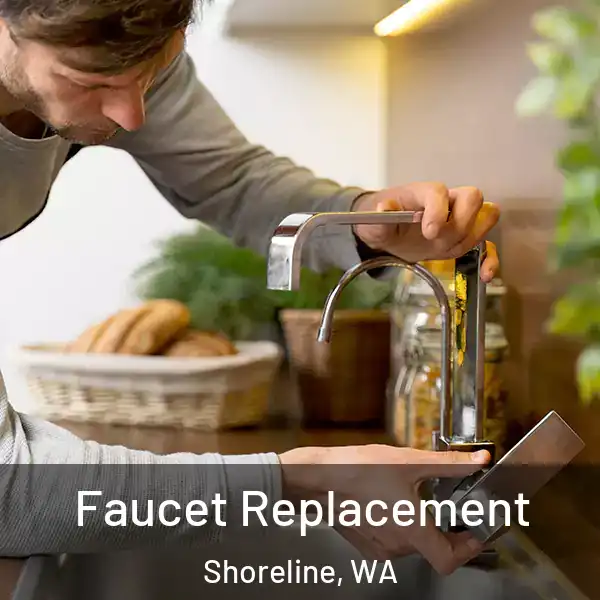  Faucet Replacement Shoreline, WA