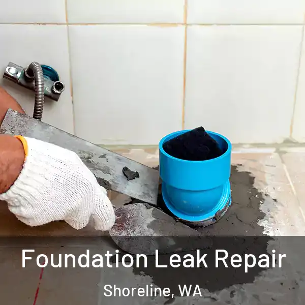  Foundation Leak Repair Shoreline, WA