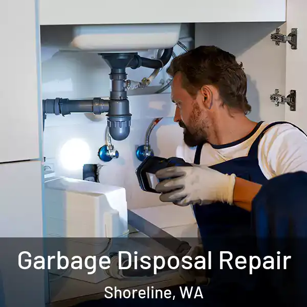  Garbage Disposal Repair Shoreline, WA