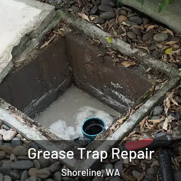  Grease Trap Repair Shoreline, WA
