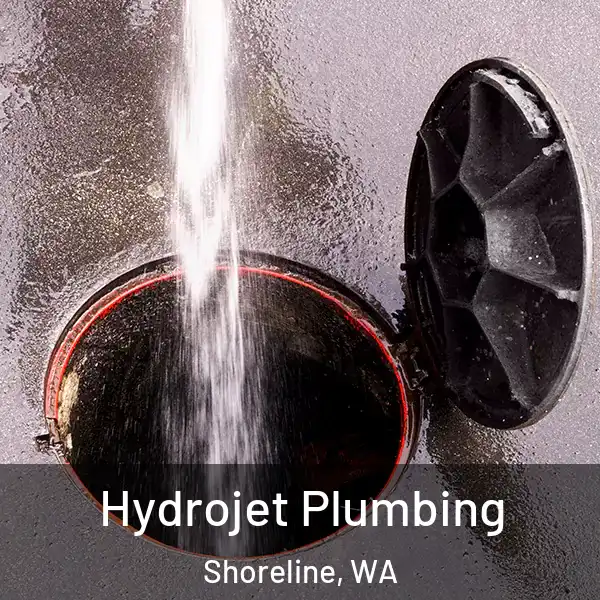  Hydrojet Plumbing Shoreline, WA