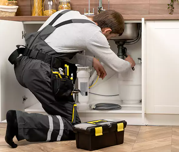 Certified Plumbers for Insinkerator Installation in Shoreline