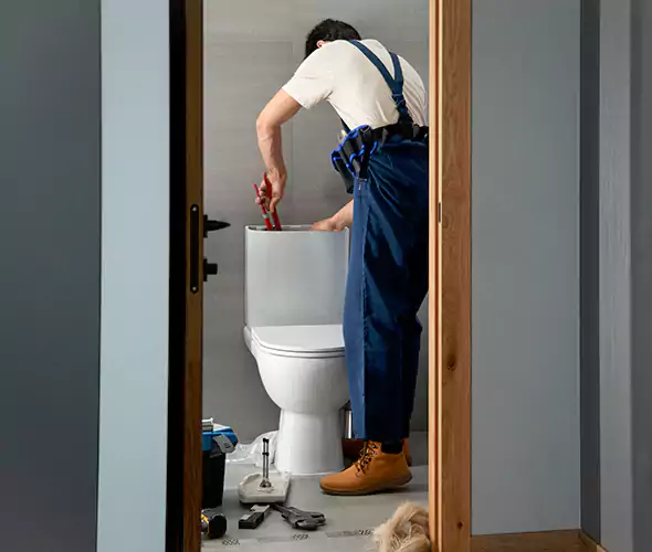 Professional Plumbers for Toilet Bowl Replacement in Shoreline, WA: Schedule Affordable Toilet Replacement Services With Us