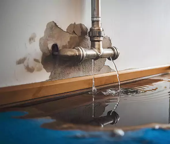 Professional Water Damage Restoration Experts in Shoreline, WA — Fast, Reliable & Certified