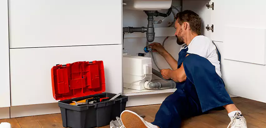 Reliable Garbage Disposal Replacement Services in Shoreline, WA