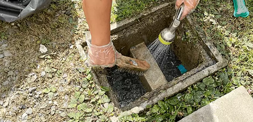 Professional Grease Trap Cleaning Services in Shoreline, WA