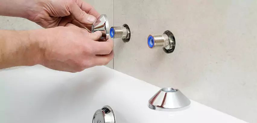 Bathtub Faucet Diverter Replacement in Shoreline