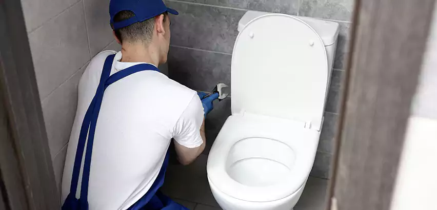 Toilet Lid Replacement in Shoreline