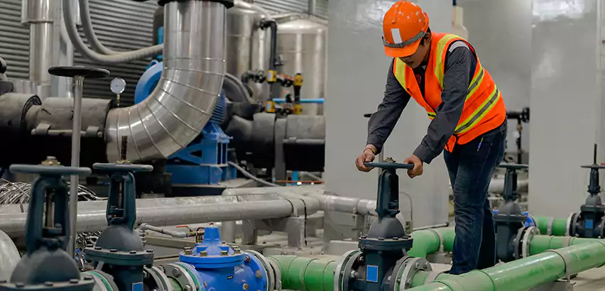 Top-Notch Trenchless Sewer Line Repair Services in Shoreline, WA.