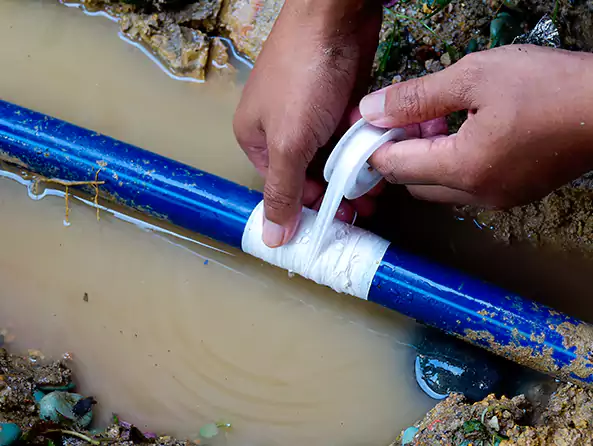  Why Choose Shoreline Plumbing Heating for Leak Detection in Shoreline, WA?]