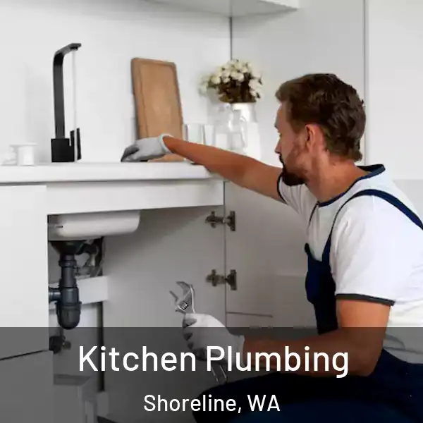  Kitchen Plumbing Shoreline, WA