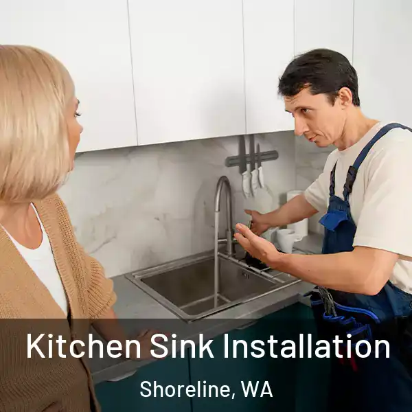  Kitchen Sink Installation Shoreline, WA
