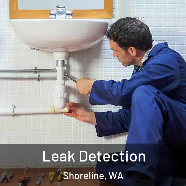  Leak Detection Shoreline, WA