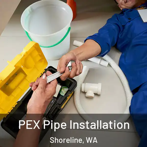  PEX Pipe Installation Shoreline, WA