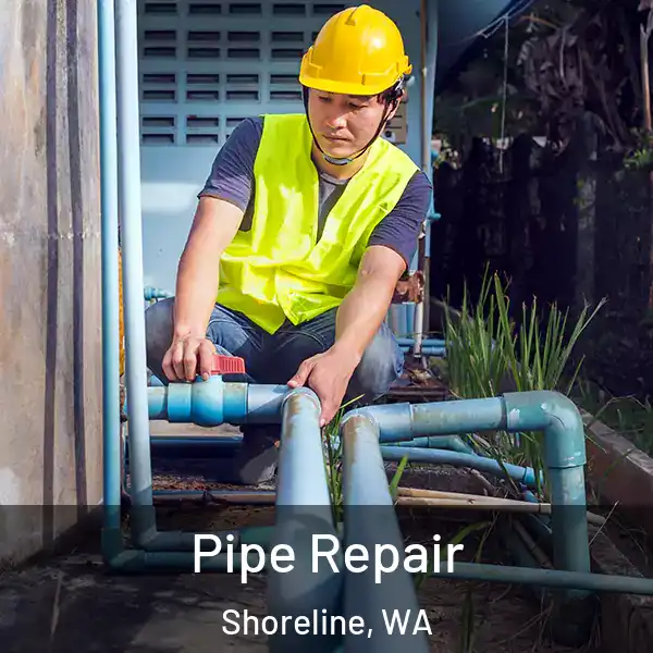  Pipe Repair Shoreline, WA