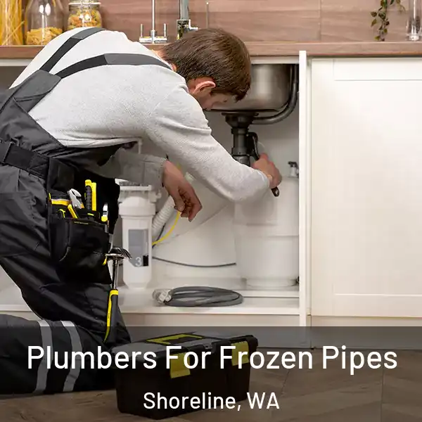  Plumbers For Frozen Pipes Shoreline, WA