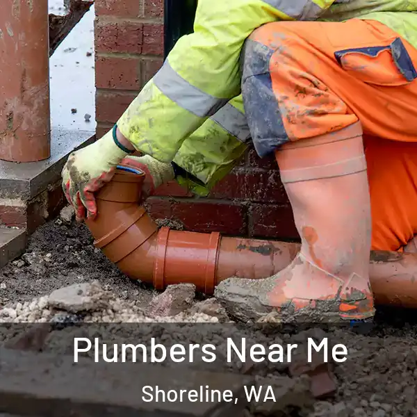  Plumbers Near Me Shoreline, WA