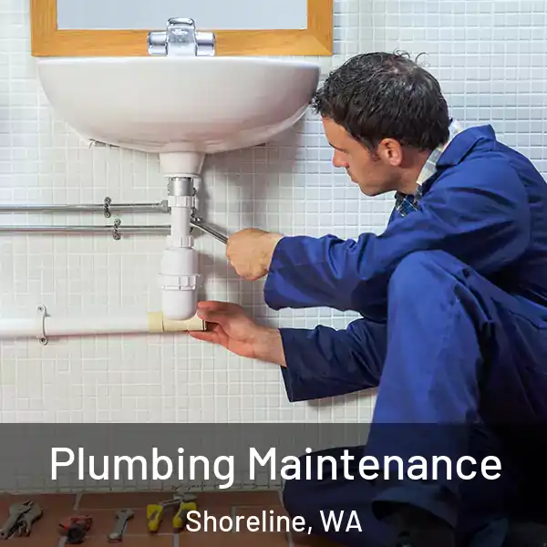  Plumbing Maintenance Shoreline, WA
