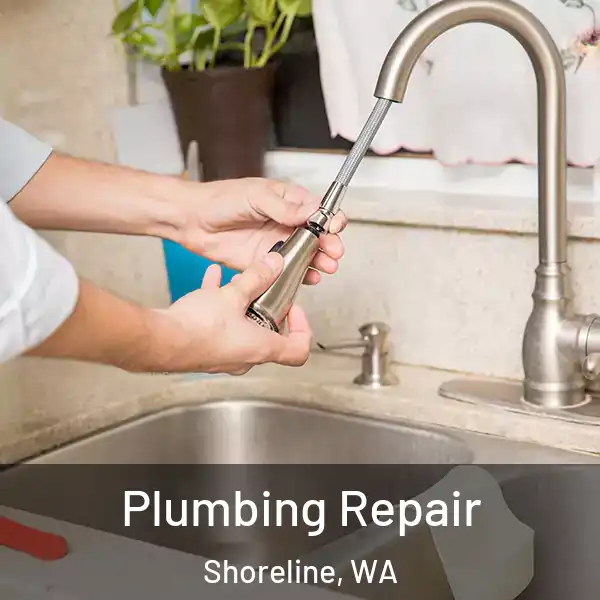  Plumbing Repair Shoreline, WA