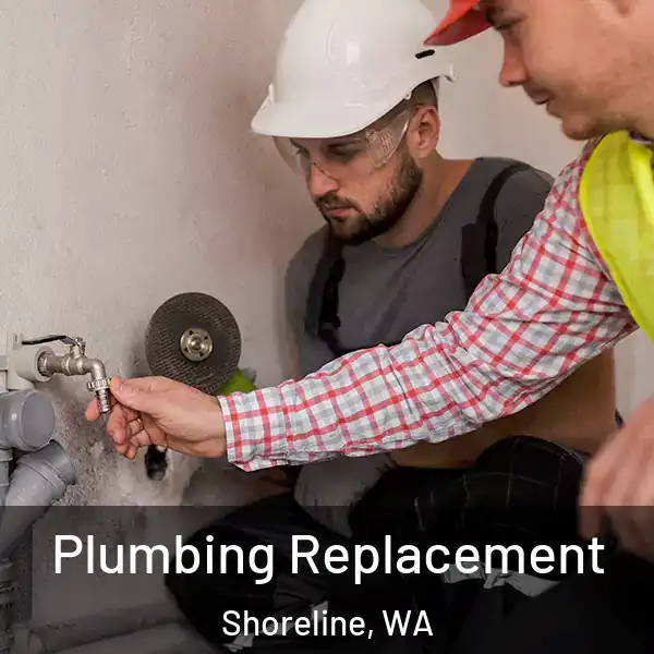  Plumbing Replacement Shoreline, WA