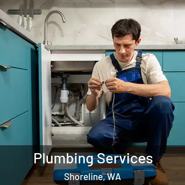 Plumbing Services Shoreline, WA