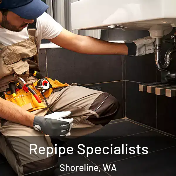  Repipe Specialists Shoreline, WA