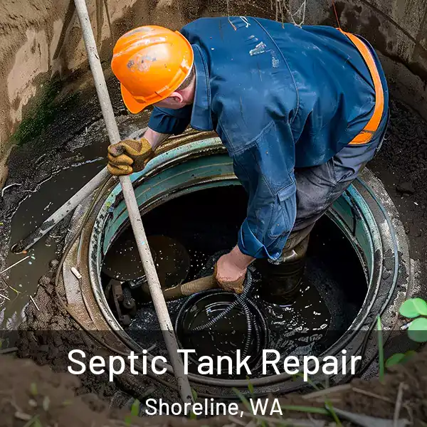  Septic Tank Repair Shoreline, WA