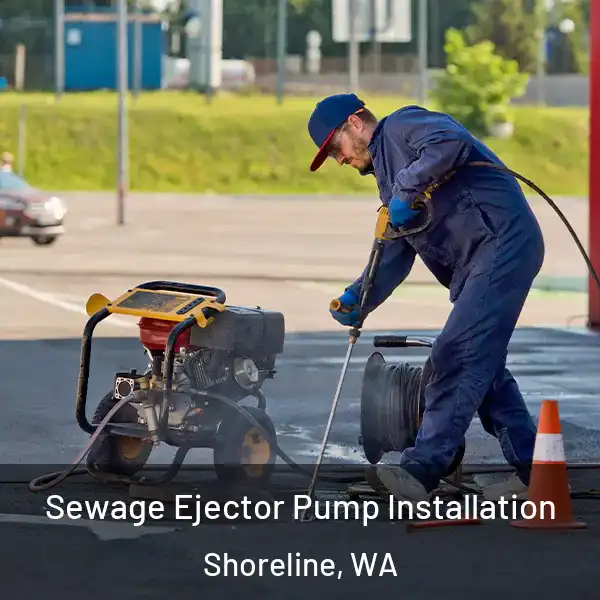  Sewage Ejector Pump Installation Shoreline, WA