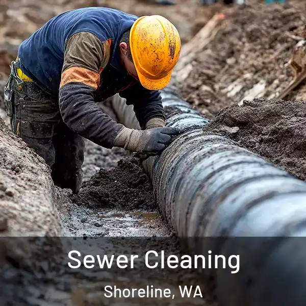  Sewer Cleaning Shoreline, WA