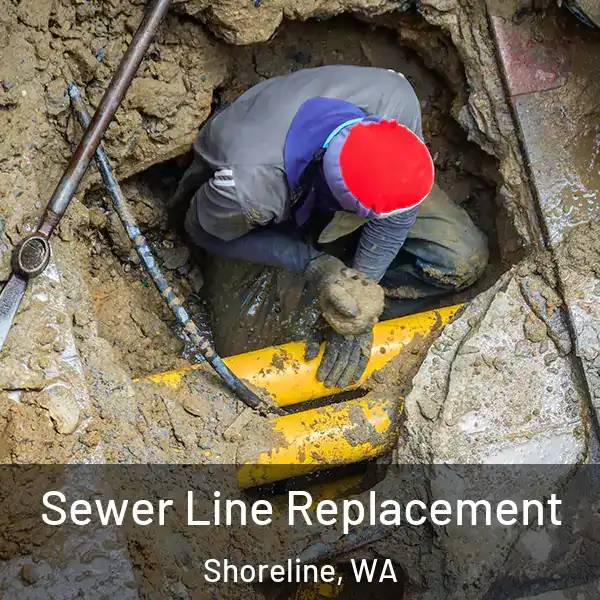  Sewer Line Replacement Shoreline, WA
