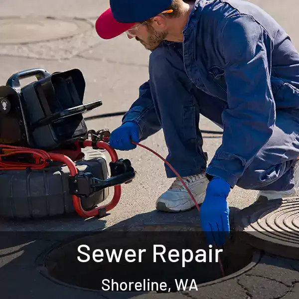  Sewer Repair Shoreline, WA