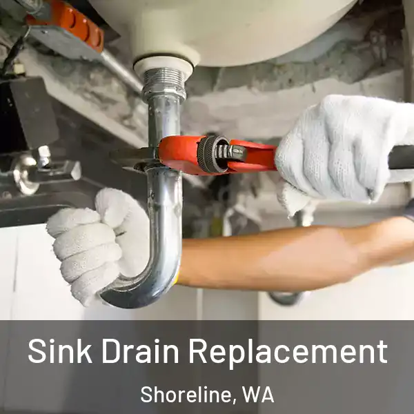  Sink Drain Replacement Shoreline, WA