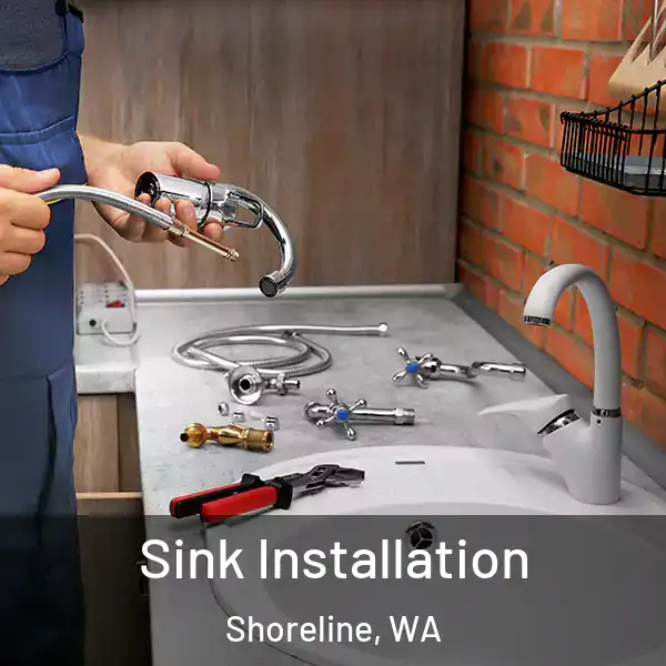  Sink Installation Shoreline, WA