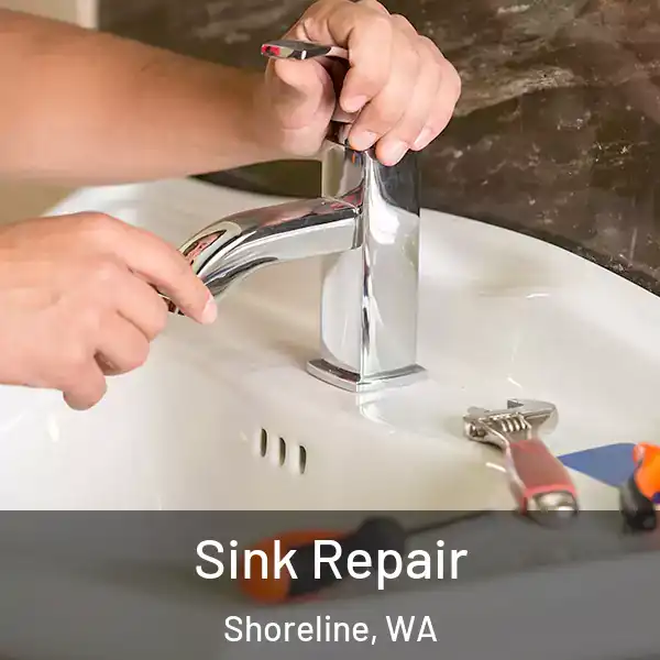  Sink Repair Shoreline, WA
