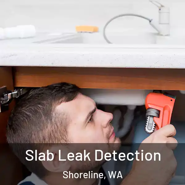  Slab Leak Detection Shoreline, WA