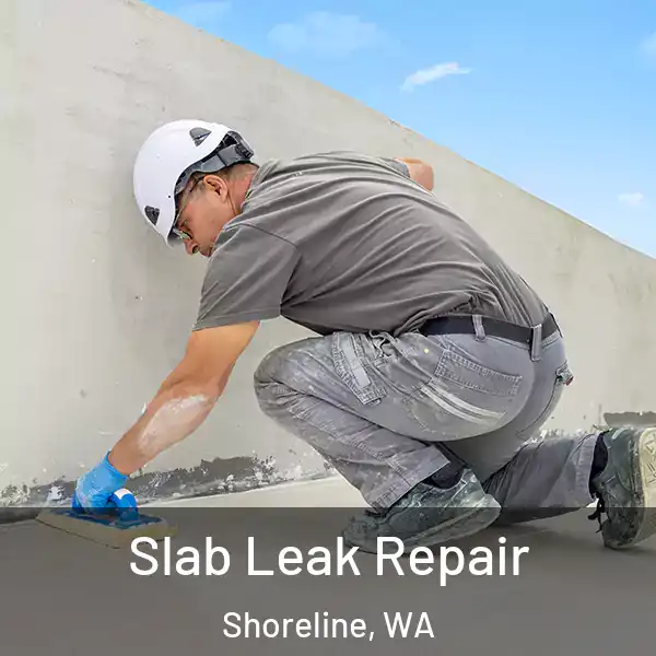  Slab Leak Repair Shoreline, WA